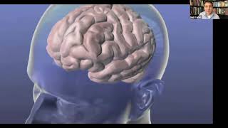 The Food Network: How your brain makes you feel hungry & full | 2021 Faculty Lecture Series