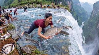 Beautiful Young Woman Harvests Tons of Fish from a Natural Lake | Transports Them to Village Market