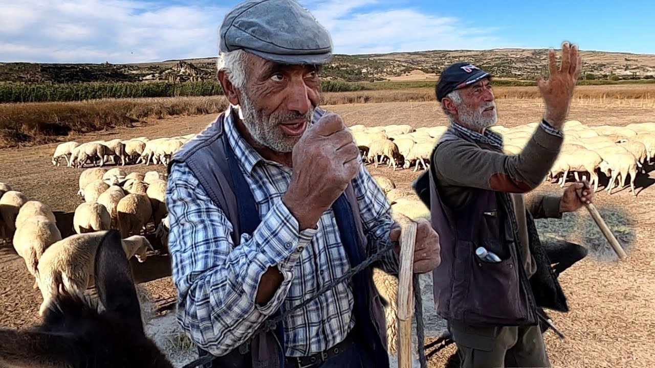 600 Hayvan ile İki Koca Yörük - Bir Ömür Hayvancılık - Duran - Sadık Yıldırım 