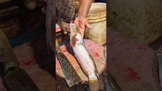 Download Lagu Wow!! Best Traditional Giant Sola Fish Cutting Skills In Bangladesh | Amazing Fish Cutting Skills MP3