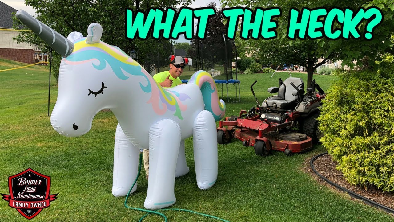 Disaster Avoided ► The Craziest Things I've Almost Ran Over ► My Craziest Story