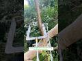 No Climbing Needed! The Ultimate Safety Hack for Tree Felling #tools #farming
