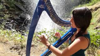 The Gael - THE LAST OF THE MOHICANS Theme - harp / harpe / 竖琴