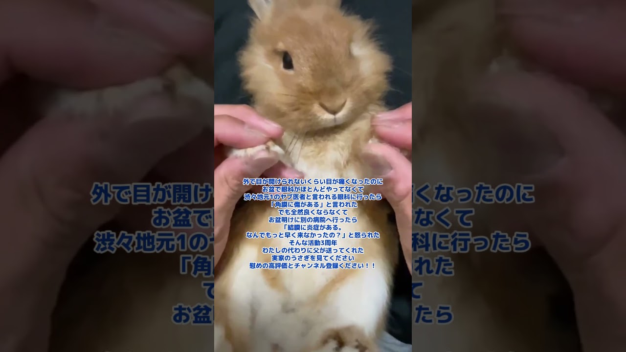 本日YouTube活動3周年です #shorts