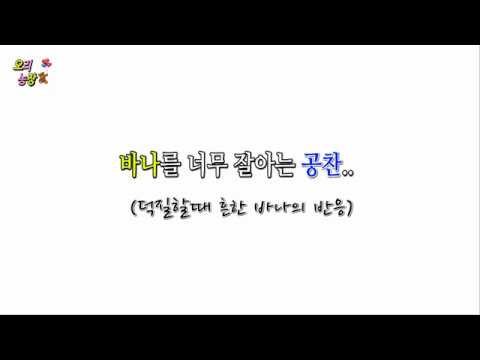 [B1A4/공찬] 바나를 너무 잘아는 공찬..