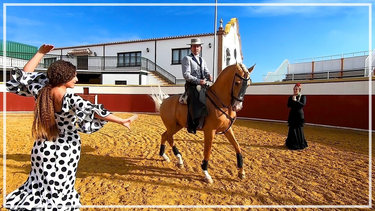 💃 The Best FLAMENCO Dance Show | Costa del Sol, Málaga, SPAIN