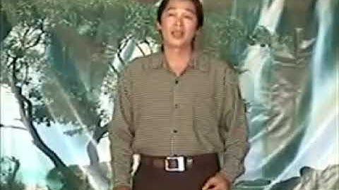 Tội Tình  Tân Cổ - Thái Ngọc Lợi Ft Kim Sang