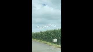 nasushiobara short trip vlog