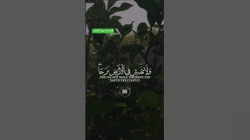 الآية 17 #سورة_لقمان / #بسم_الله_الرحمن_الرحيم /القارئ #اسلام_صبحي #القرآن_الكريم #انشر_تؤجر