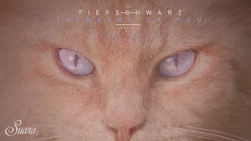 Tiefschwarz - Some Thing (Original Mix) [Suara]