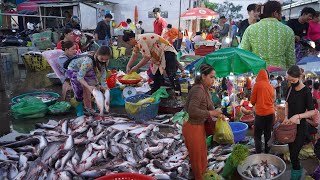 Cambodian Early Morning Fish Market Scene - Plenty Alive Fish, Seafood &amp; More @PrekPhnov Fish Market