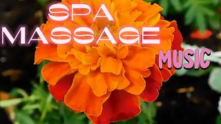 Deep Relaxation Spa Music | Calming Instrumental for Massage .Paul instrumental music # 62