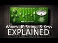 Surprised by Waves JJP Strings & Keys