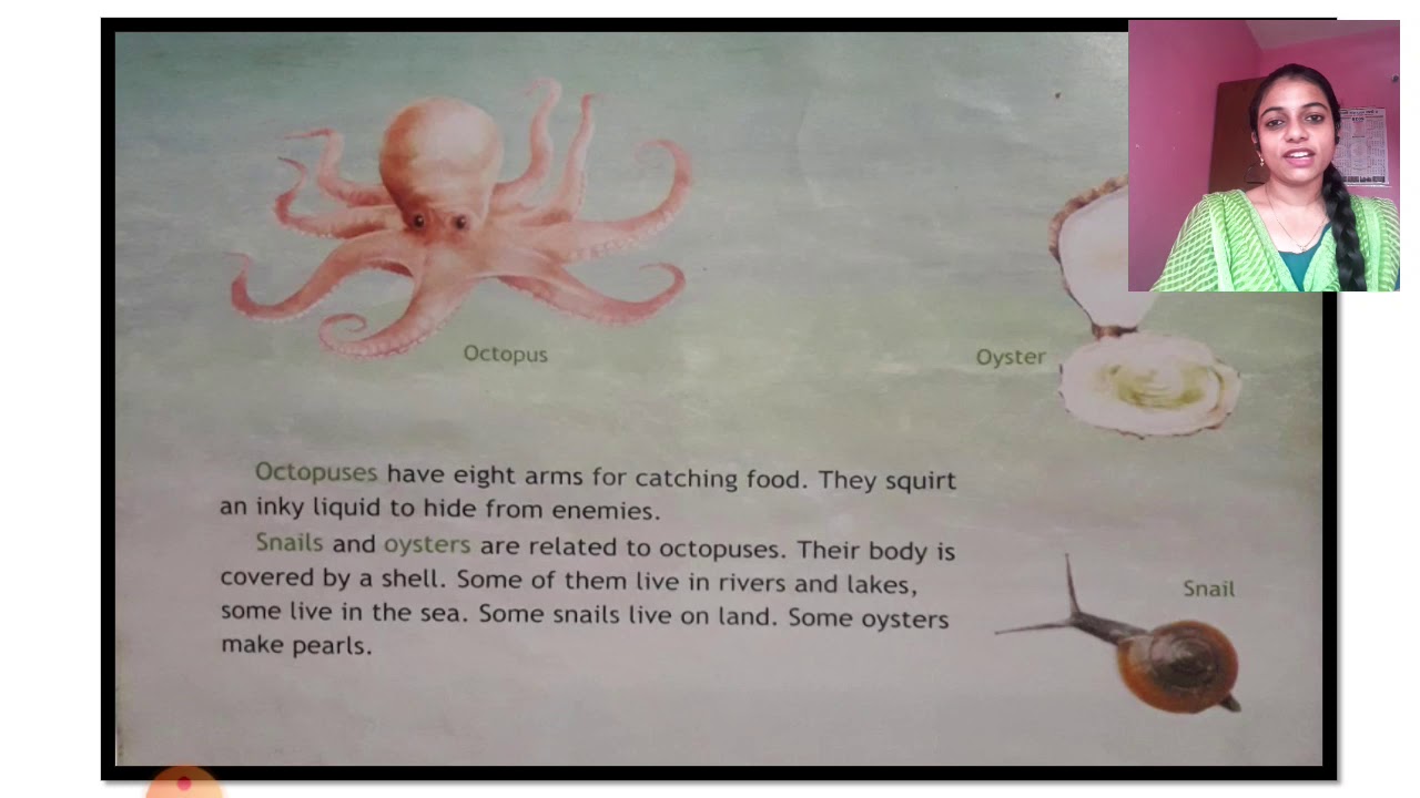 ICSE 3RD GS  ANIMALS WITHOUT BONES