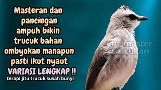 Trucukan GACOR ngalas ROPEL PANJANG suara alam AMPUH buat pancingan jadikan trucuk Gacor GARUDA