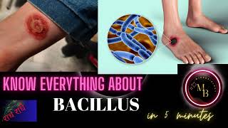 bacillus microbiology lecture ||bacillus ||Easy Microbiology