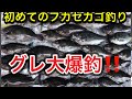 【グレ大爆釣‼️】初めてのフカセカゴ釣り