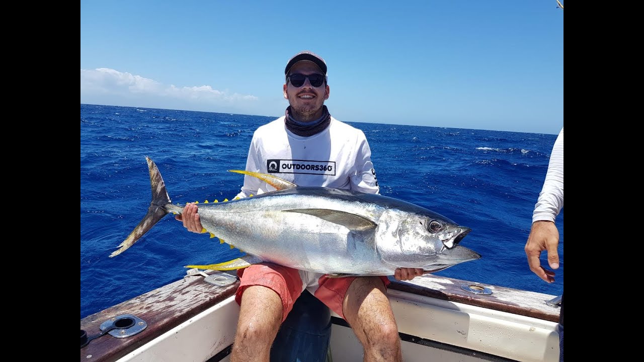 Le wahoo – Julien BROSSEL, Guide de pêche sportive en Guadeloupe