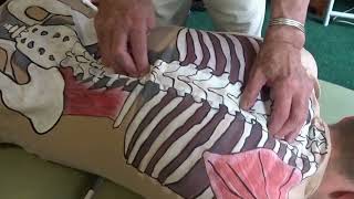 Re-Balance The Spine To Reduce Pain Boost Health Anma