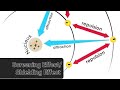 d&f block elements ||SCREENING EFFECT OR SHIELDING EFFECT ||स्क्रीनिंग प्रभाव या परिरक्षण प्रभाव |