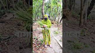 সজনা #videoviral #trendingshort #blog #sort #treanding #virul #video