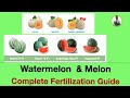 Complete Guide in Fertilization of Melon & Watermelon. Gabay sa pag-aabono ng Pakwan at Melon.