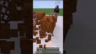 telepati block minecraft