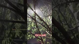 पाऊस 🌩️🌧️🌨️🌲🥰  baarish song
