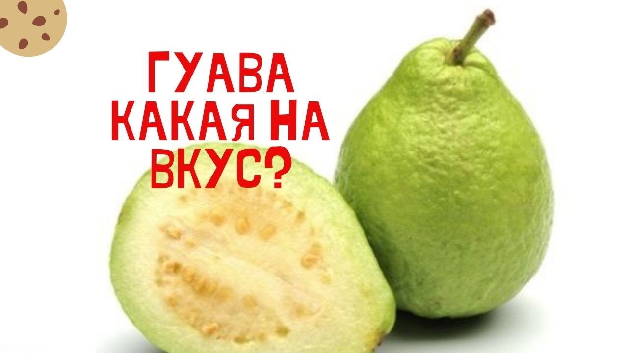 Гуава польза и вред. Гуава вкус. Гуава фрукт вкус. Гуава Египетский фрукт. Гуава какой вкус.