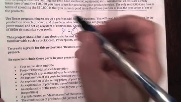 Linear Programming Project Explanation