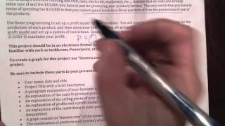 Linear Programming Project Explanation