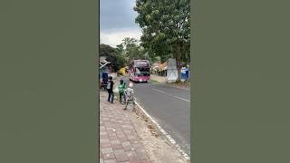 BASURI TOBRUT BUS GHENDIS WIJAYA TRANS #teloletbasuri #busmania