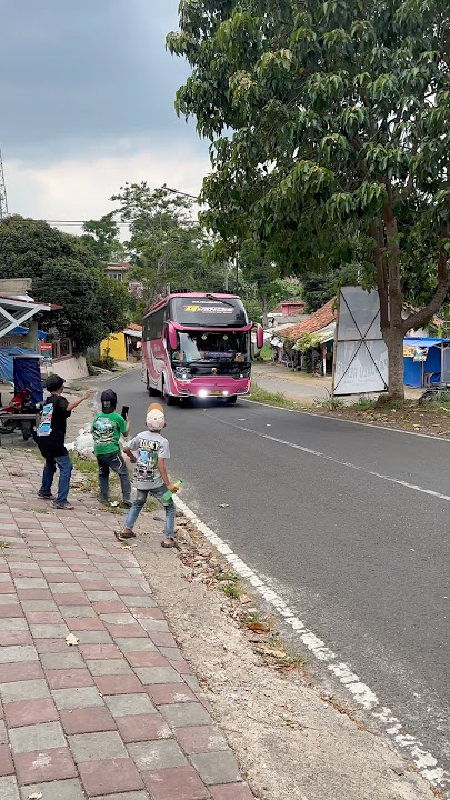 BASURI TOBRUT BUS GHENDIS WIJAYA TRANS #teloletbasuri #busmania