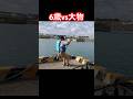 6歳vs大物の戦い#fishing #shorts #釣り