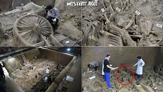 Unveiling the Secrets: 2400-Year-Old Chinese Funeral Procession