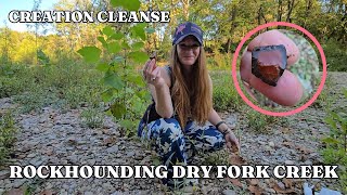 Dry Fork Creek - Rockhounding in Southwest Ohio (ASMR) ~ Horn Coral, Artifacts, Fossils & more!