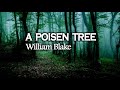 William Blake (A Poison Tree) .  Luka Sulic (Kol Nidrei)