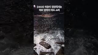 #묵호 #묵호밤바다 #파도 #동해안 #바다멍 #Shorts #HealingMukho #NightSea #OceanWaves #ASMR #SleepSounds #KoreaTravel