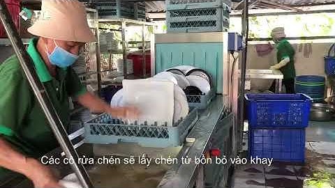 Sự hiệu quả của máy rửa chén băng tải Winterhalter