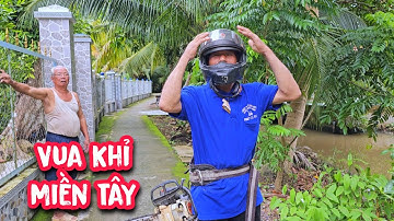 Vua Khỉ cưa cây Dừa gặp ngay bác chủ nhà dễ tính.