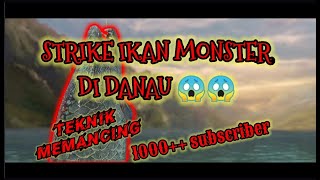 How To Catch A Fishing Strike Like A Pro: DAPAT IKAN PURBA // CARA MEMANCING IKAN RAKSASA screenshot 5