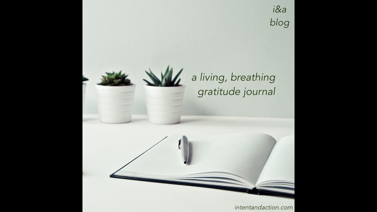 A Living Breathing Gratitude Journal (Imperfect in an Uncertain World ...