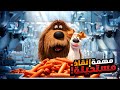 كلب صغير بيخوض هوا واصدقائة مهمة إنقذ مستحيلة بتعرض حياتهم كلهم للخطر ملخصات فيلم Life Of Pets 2 