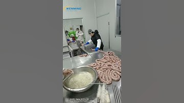 Sausage Making Plant Automatic Vacuum Sausage Filling Machine