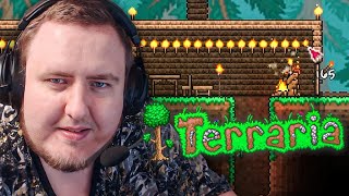 ИГРА МЕСЯЦА: Terraria