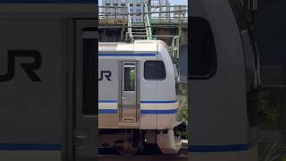 JR東日本 横須賀線 E217系 Y-101編成 + Y-31編成 → (海側・鉄道サイドビュー) 【JR EAST 2023.5 / TRAIN SCAN】