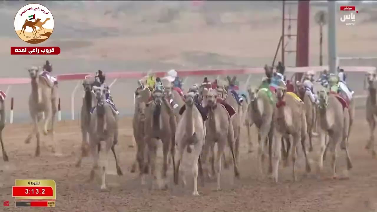 الشوط 6 .. منحاف لـ محمد حميد محمد الحجري 