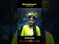 What is Monsoon? मानसून क्या है #ssc #shorts #cgl
