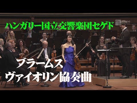 ブラームス ヴァイオリン協奏曲 ニ長調 作品77  Brahms: Violin Concerto in D major, op. 77