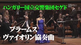 ブラームス ヴァイオリン協奏曲 ニ長調 作品77 Brahms: Violin Concerto in D major, op. 77